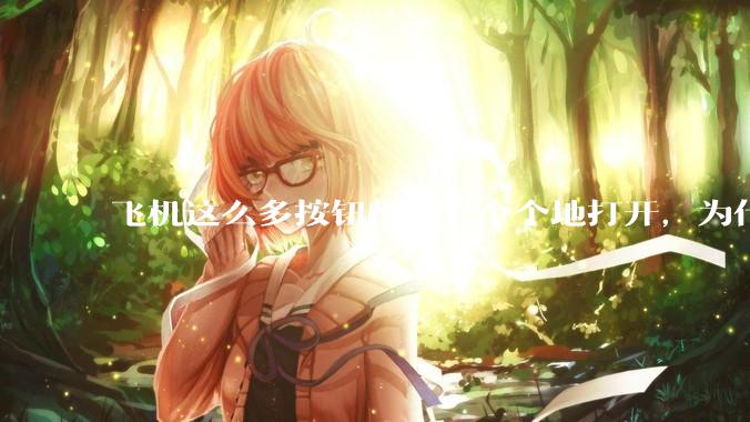飞机这么多按钮都要一个个地打开，为什么不能一键启动？